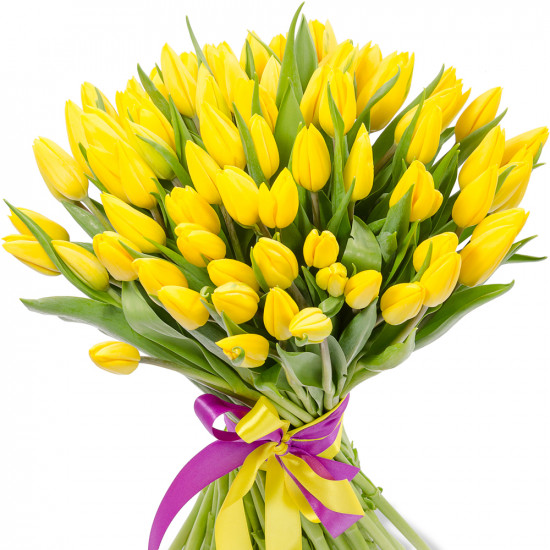 Yellow tulips Yellow tulips