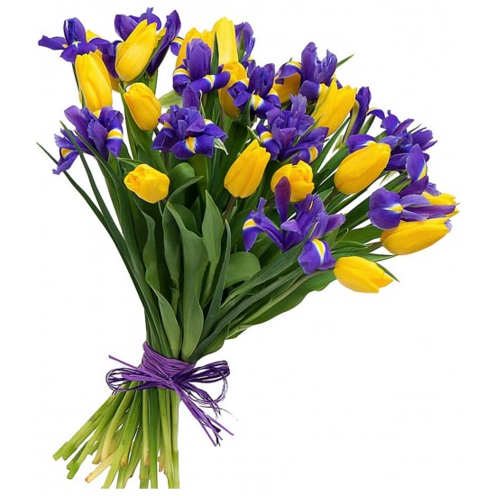bouquet bouquet